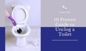 Unclog A Clogged Toilet