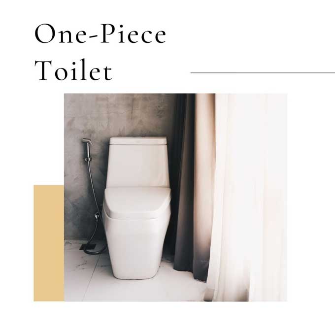 One Piece Toilet