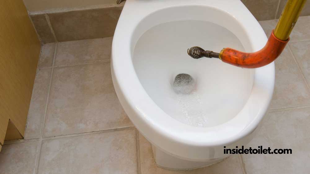 unclog a toilet with a snake