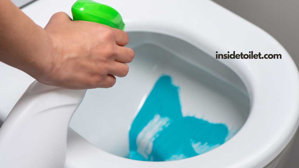 unclog toilet with dish soap