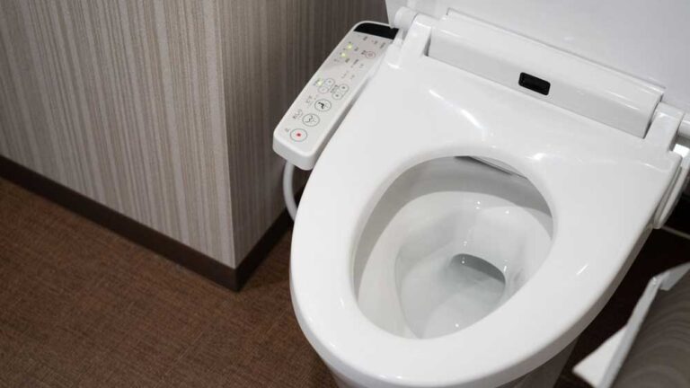 How to hide an unusable bidet - InsideToilet