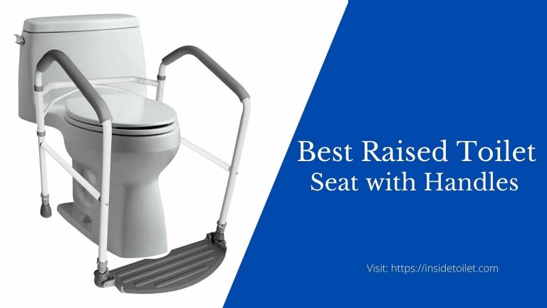 Raised Toilet Seat With Handles