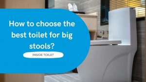 best toilet for big stool