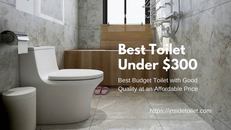 Best Toilet Under 300