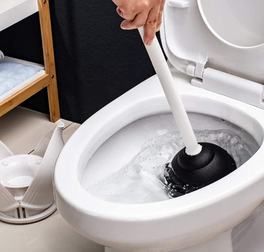 Best Plungers for Toto Toilet - InsideToilet